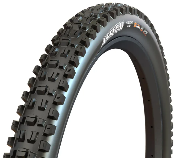 Maxxis Assegai — three-quarter view